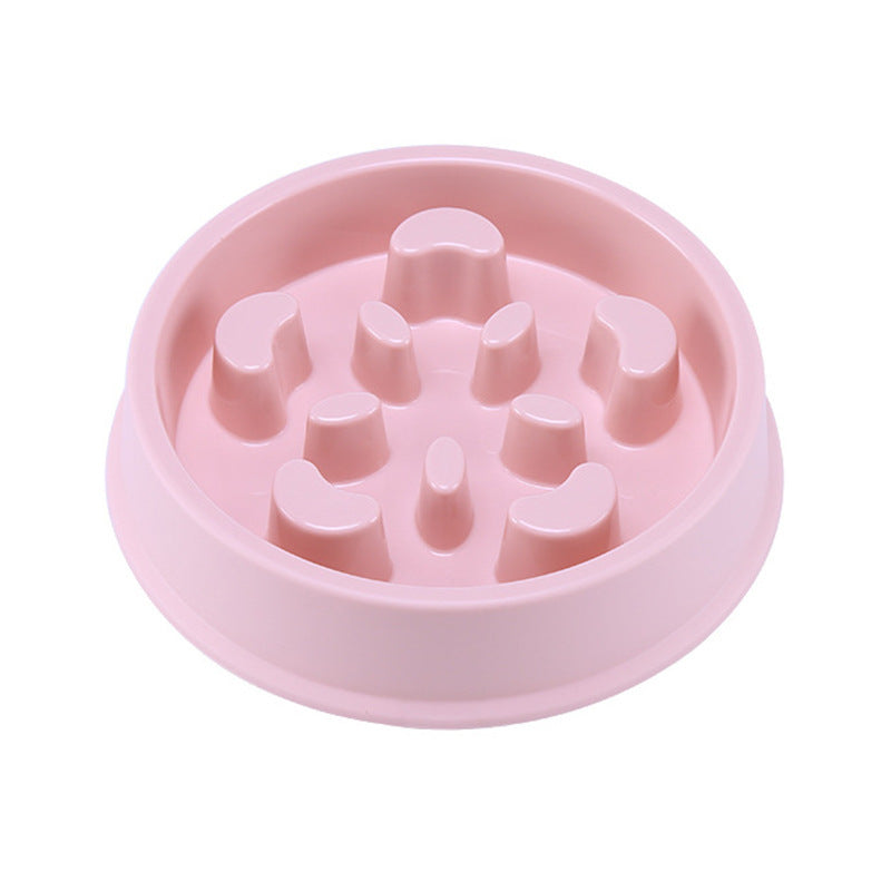 feeder for cats