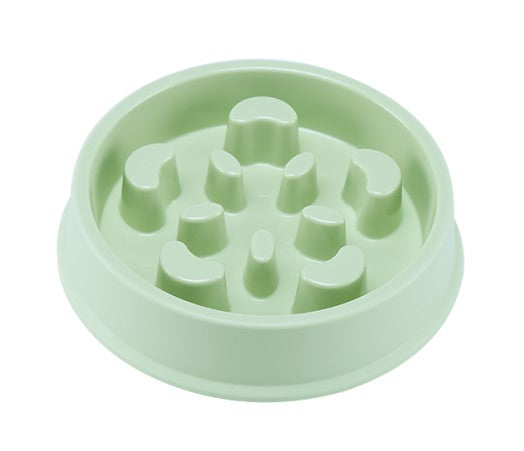 slow feeder for cats