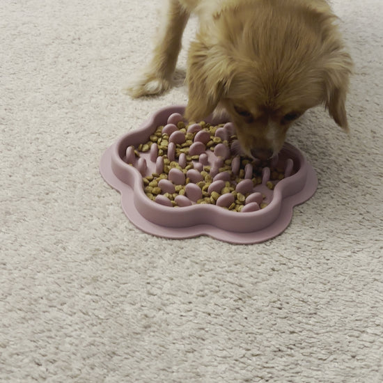 dog slow feeder bowl